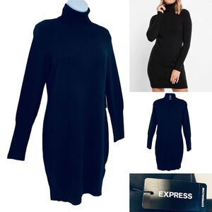 Express Turtleneck Sweater Dress